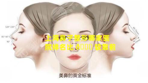 上海鼻子整形哪家医院排名比 🕊 较靠前
